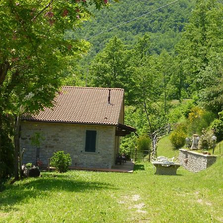 Вилла Agriturismo La Motta Frassineta Экстерьер фото