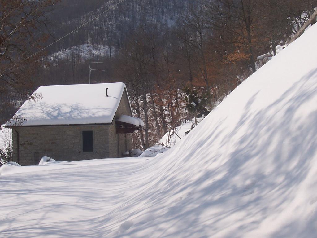 Вилла Agriturismo La Motta Frassineta Экстерьер фото