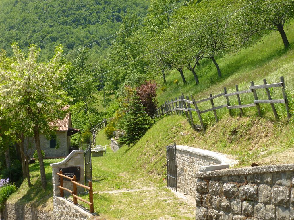 Вилла Agriturismo La Motta Frassineta Экстерьер фото